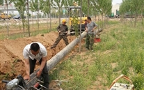 河北bet356体育公司环网管线工程建设顺利推进