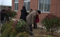 “绿色多一点、家园美一点”—成武县bet356体育燃气公司3.12植树节活动