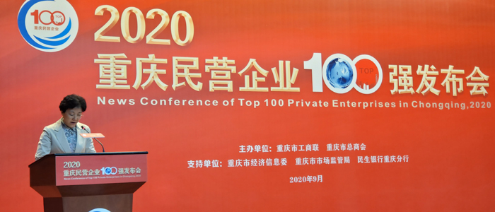 重庆市委常委、统战部部长李静在发布会上讲话