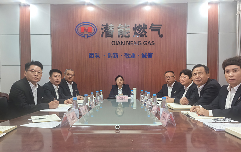 成武公司分会场